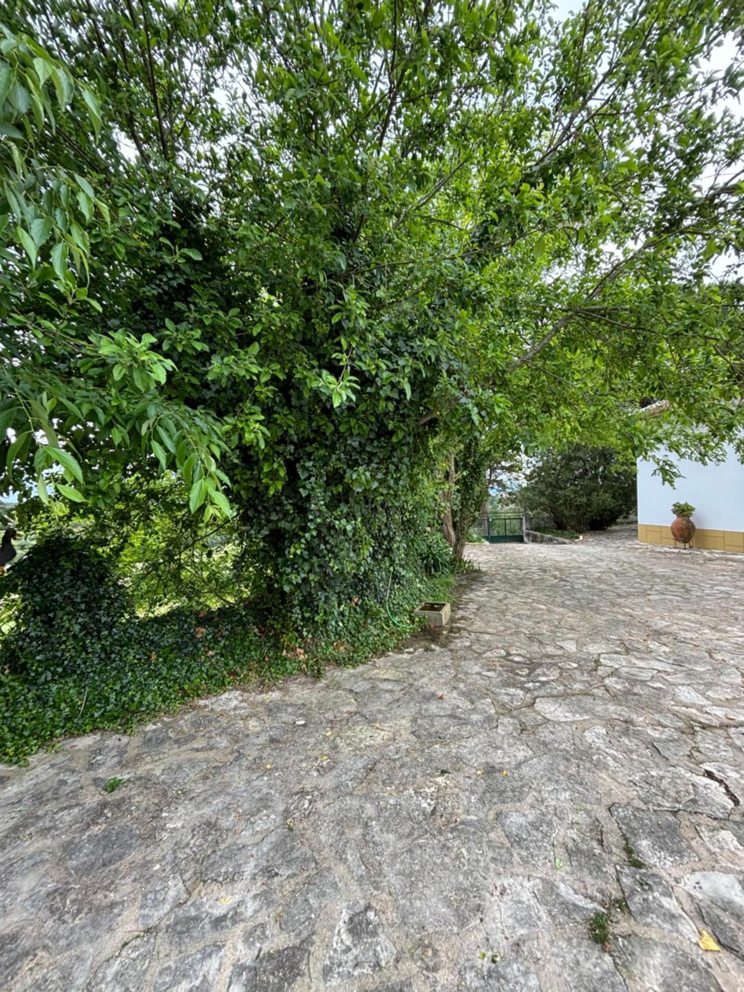 Casa Da Nogueira Villa Tomar Exterior photo